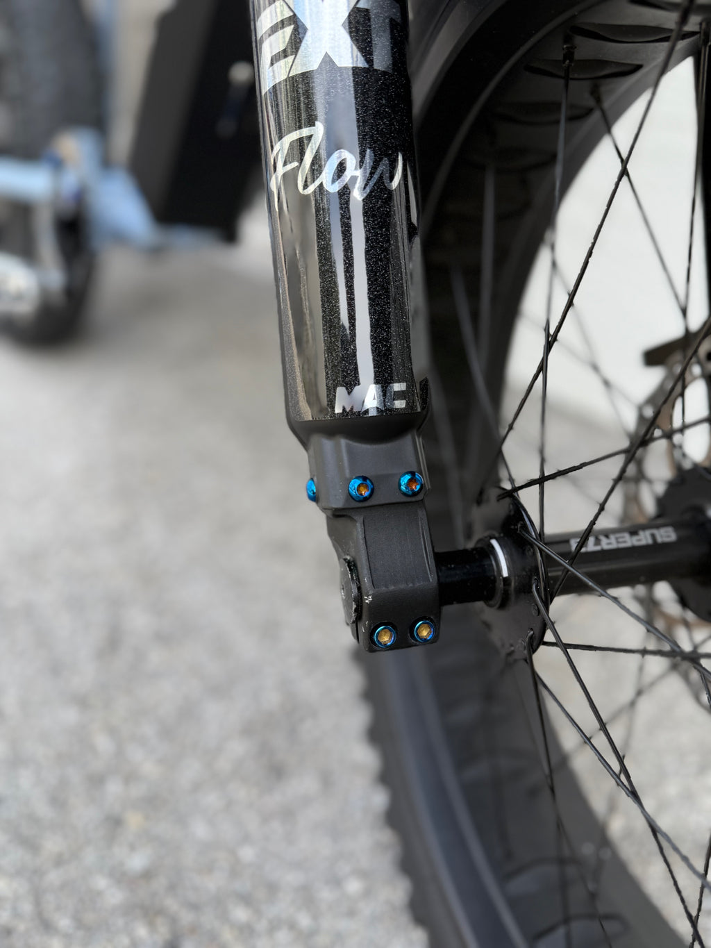 Titanium Fork guard bolts