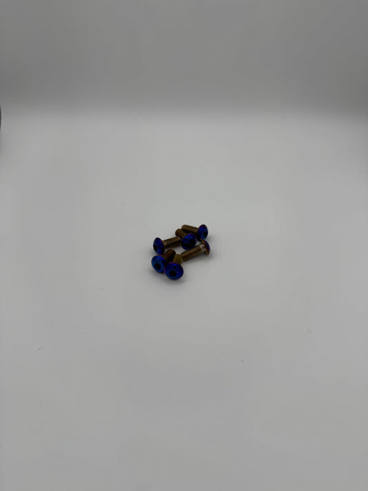 Titanium Fork guard bolts