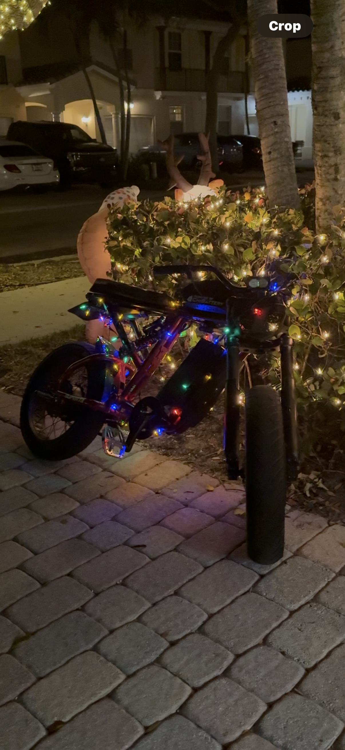 Battery powered Christmas lights