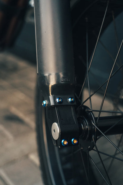 Titanium Fork guard bolts